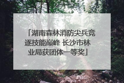 湖南森林消防尖兵竞逐技能巅峰 长沙市林业局获团体一等奖